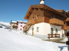 Serene Holiday Home in Livigno Italy near Ski Area